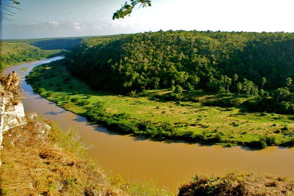 El río rodea el bosque verde