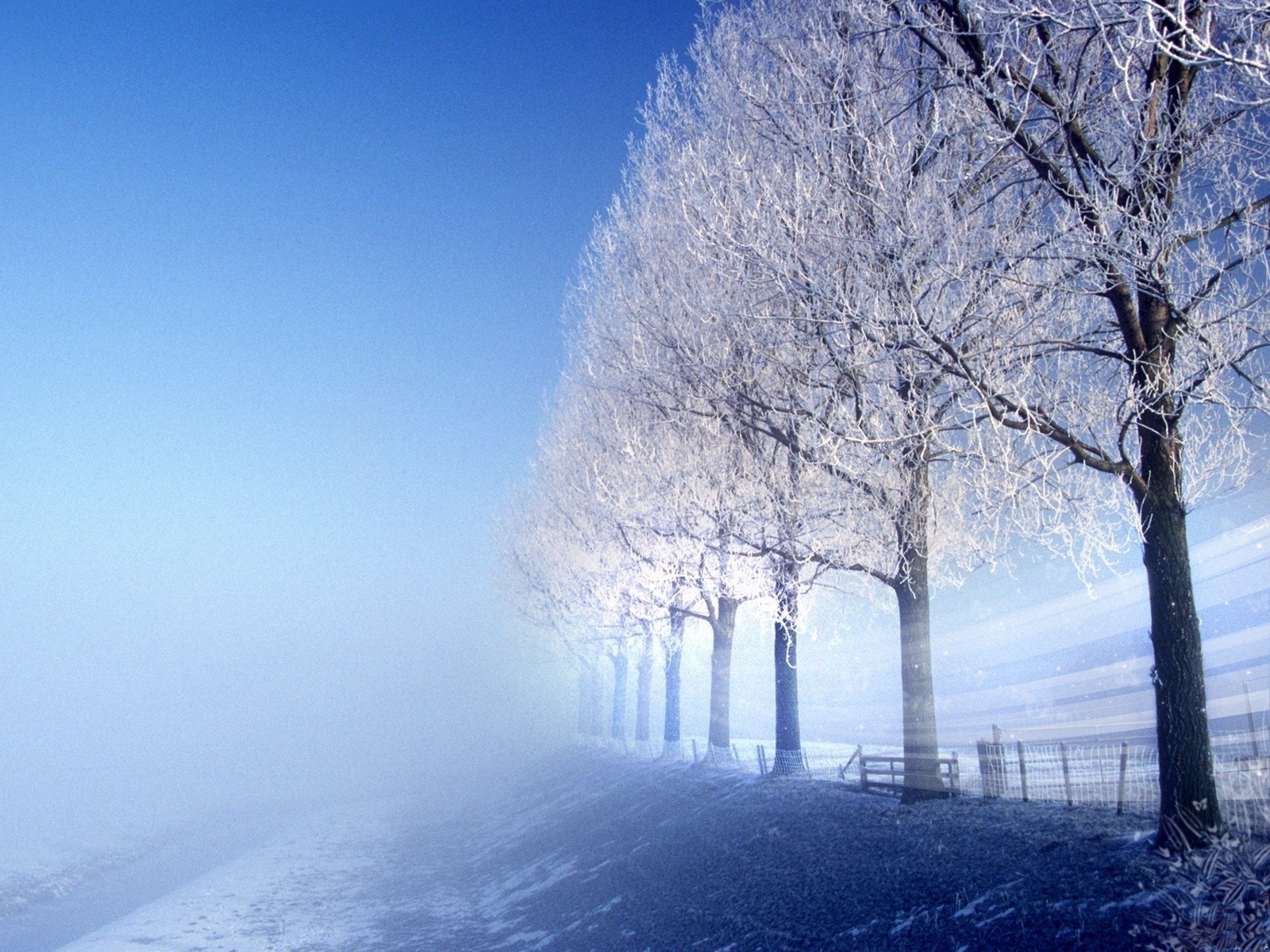 hiver glace froid givre route