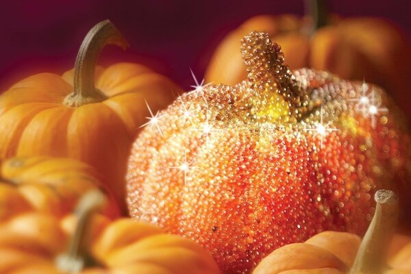 Citrouille avec des paillettes pour Halloween