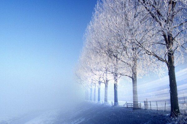 Verschneite Straße im Nebel an einem frostigen Morgen