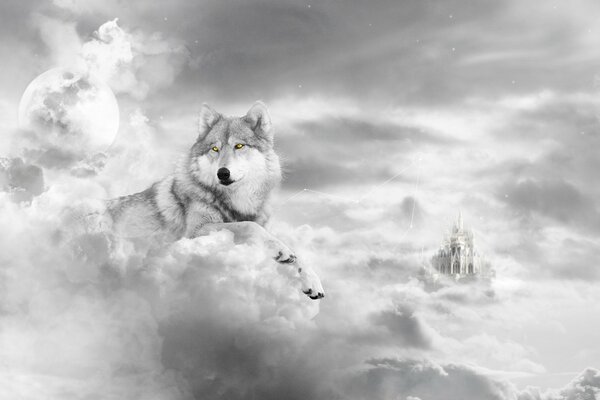 Волк в пушистых облаках. Арт