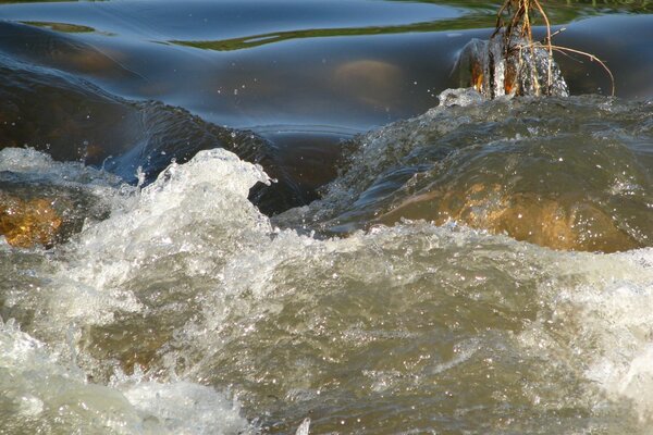 El río rebosa de Pesca para ser