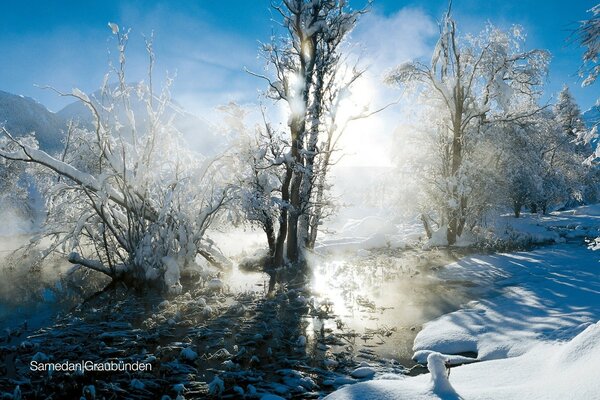 Árboles de nieve en el arroyo escarcha