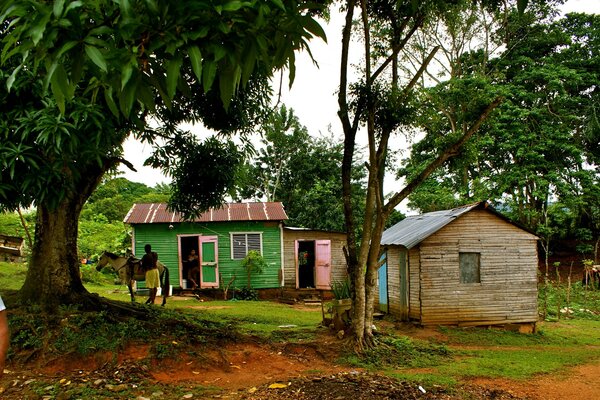 Maisons rustiques sur fond d arbres tropicaux