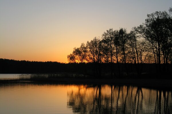 Sunset on the lake against the background of trees