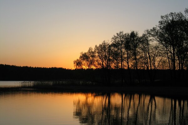 Tramonto sul lago sullo sfondo degli alberi