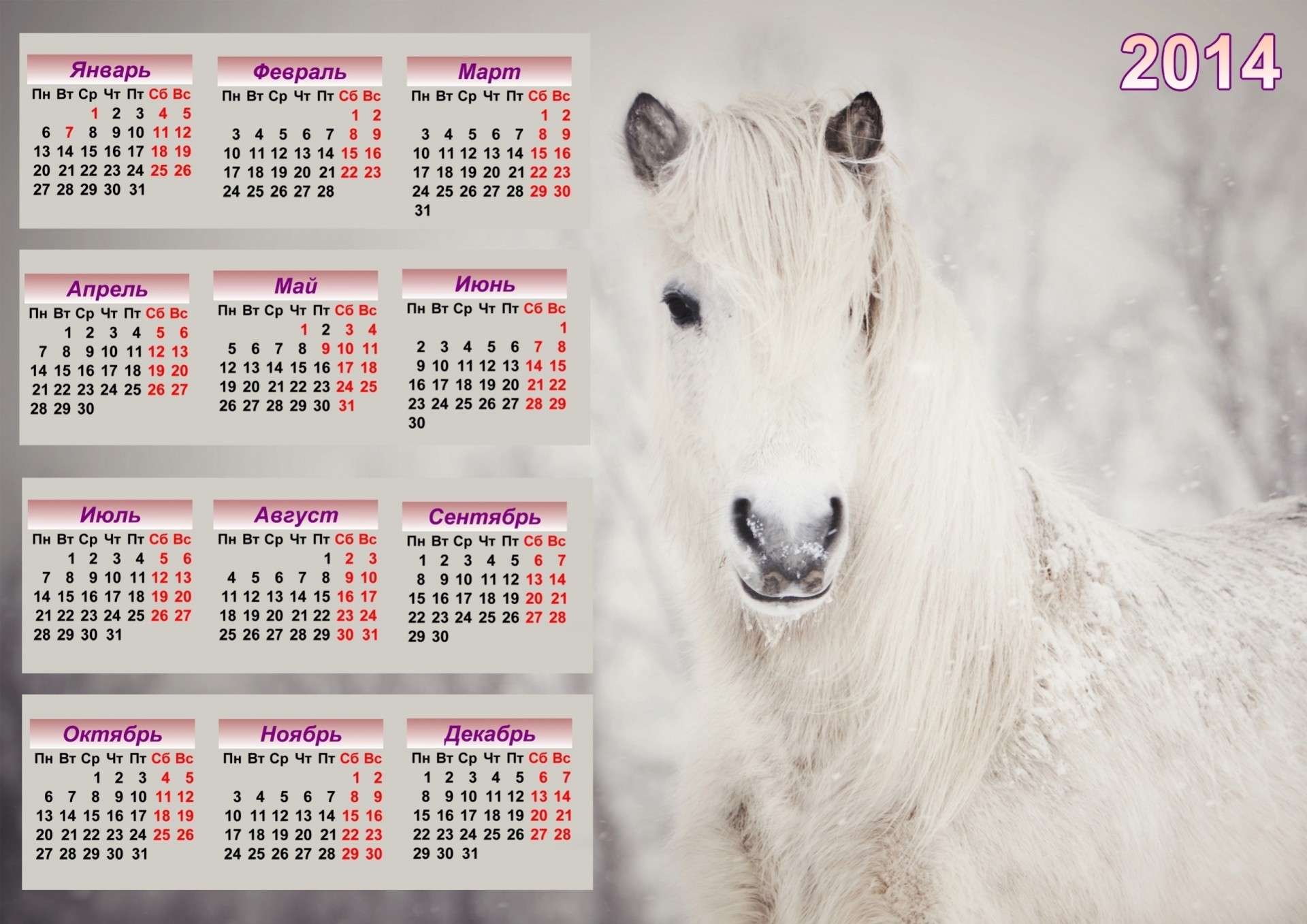 cavallo 2014 calendario