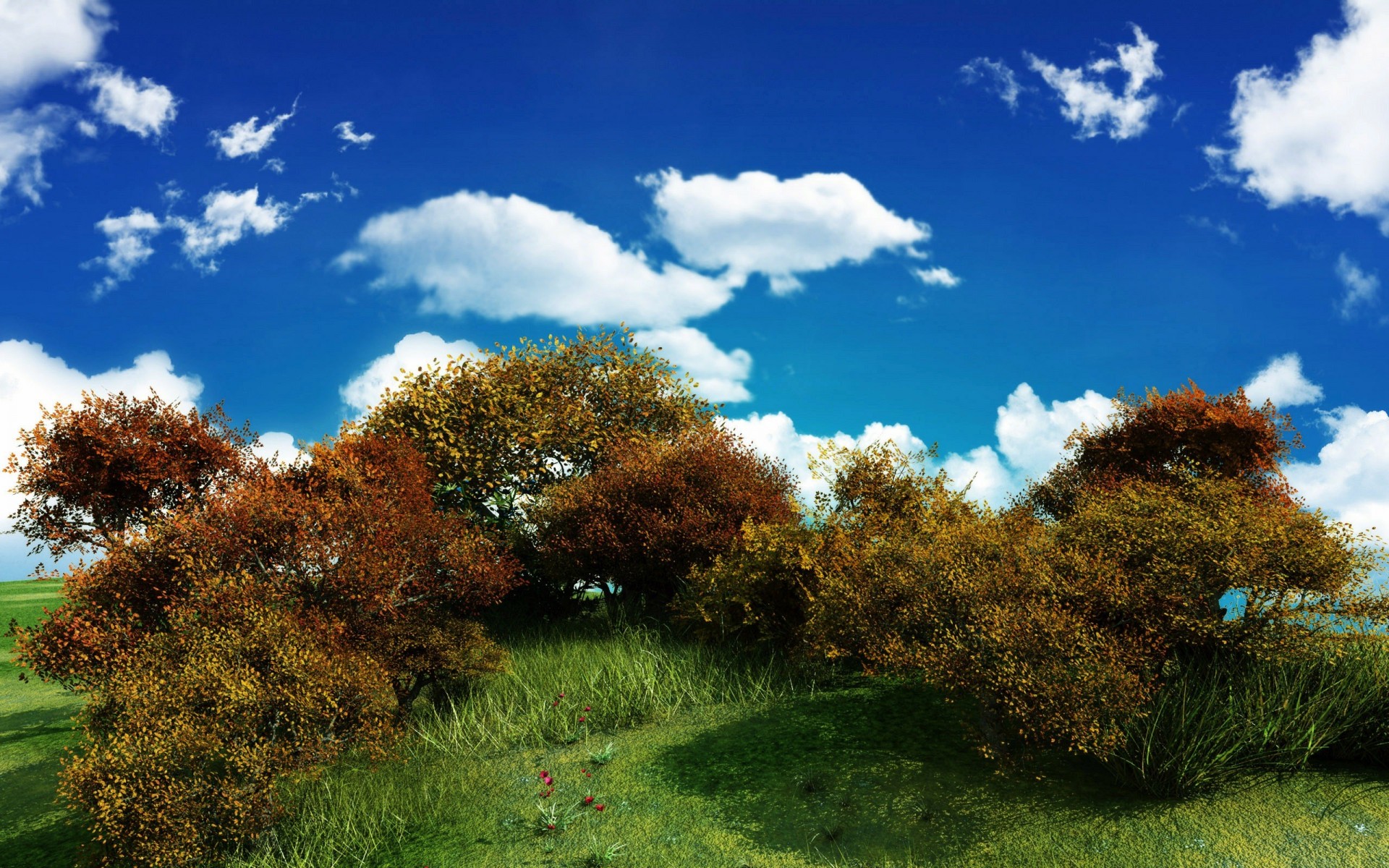 ciel verdure buisson nuages