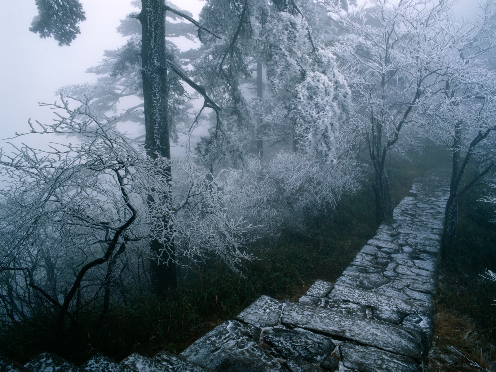 strada scala inverno