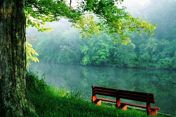 Спокойное место возле реки на скамейке