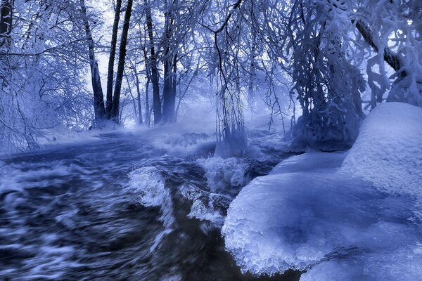 Rivière gelée parmi les arbres tout dans le givre