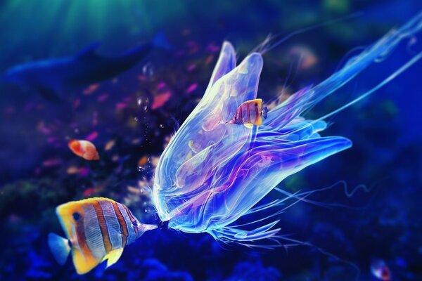 Underwater life. Fish and jellyfish
