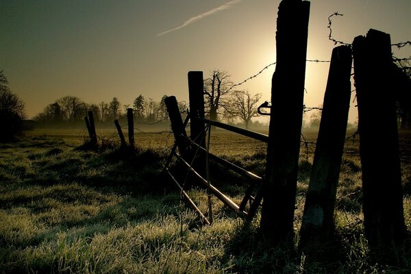 Sunset. Fence with barbed wire