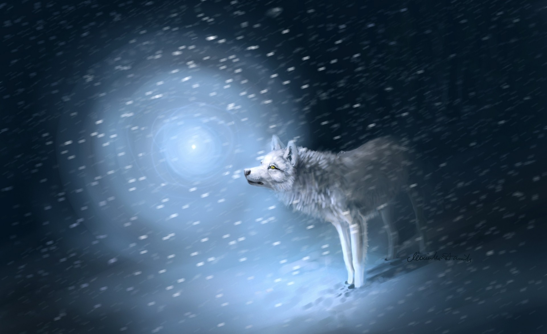 wolf licht schnee spuren sturm