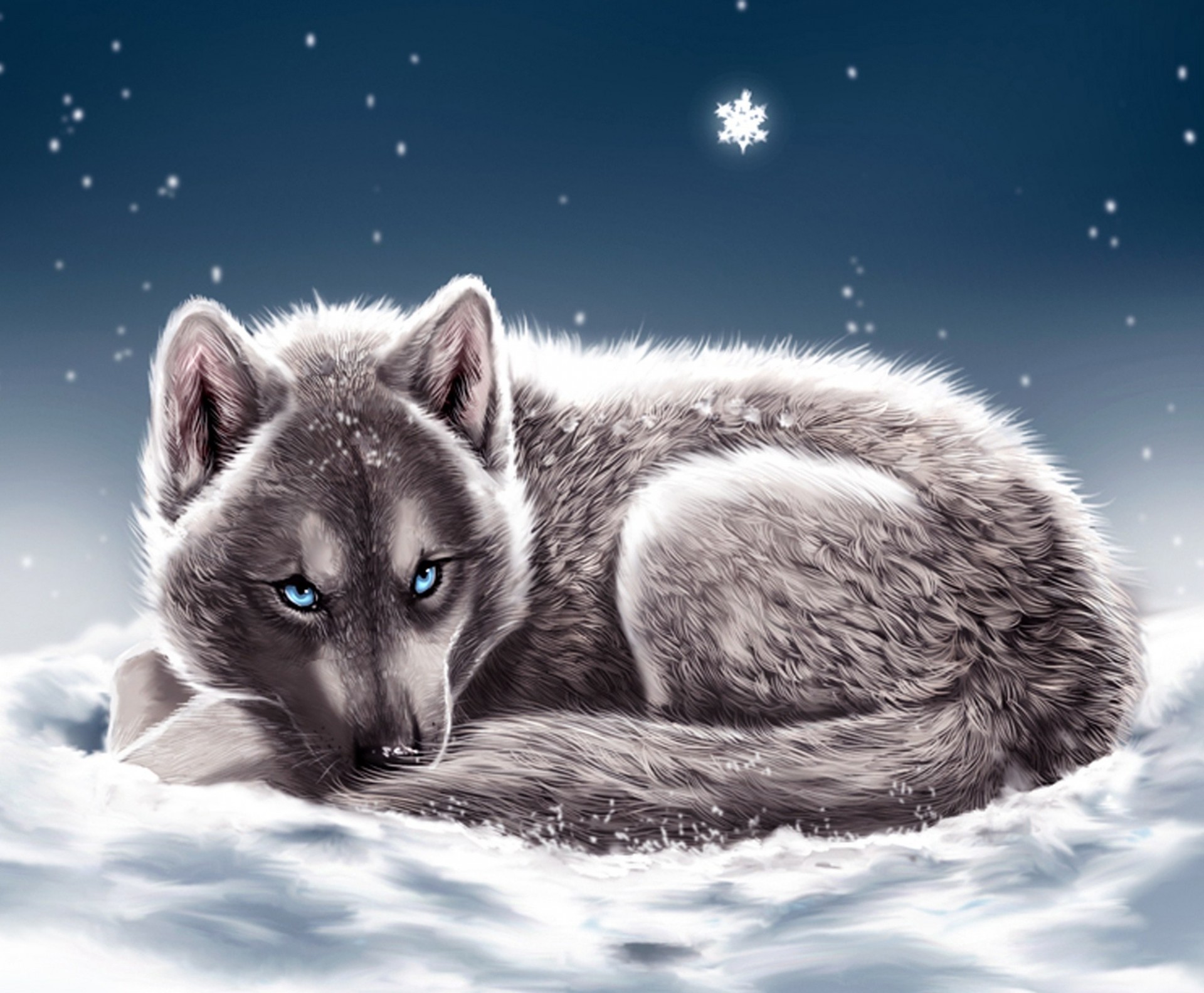 flocons de neige loup se trouve yeux bleus neige regarder hiver