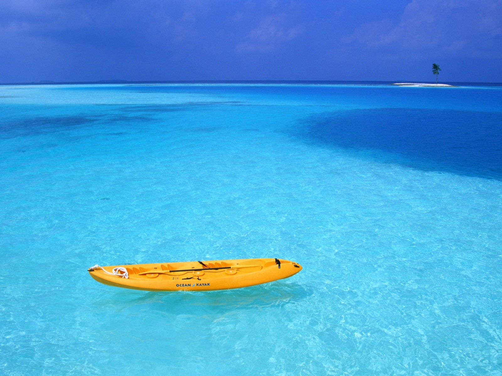 playa barco palma