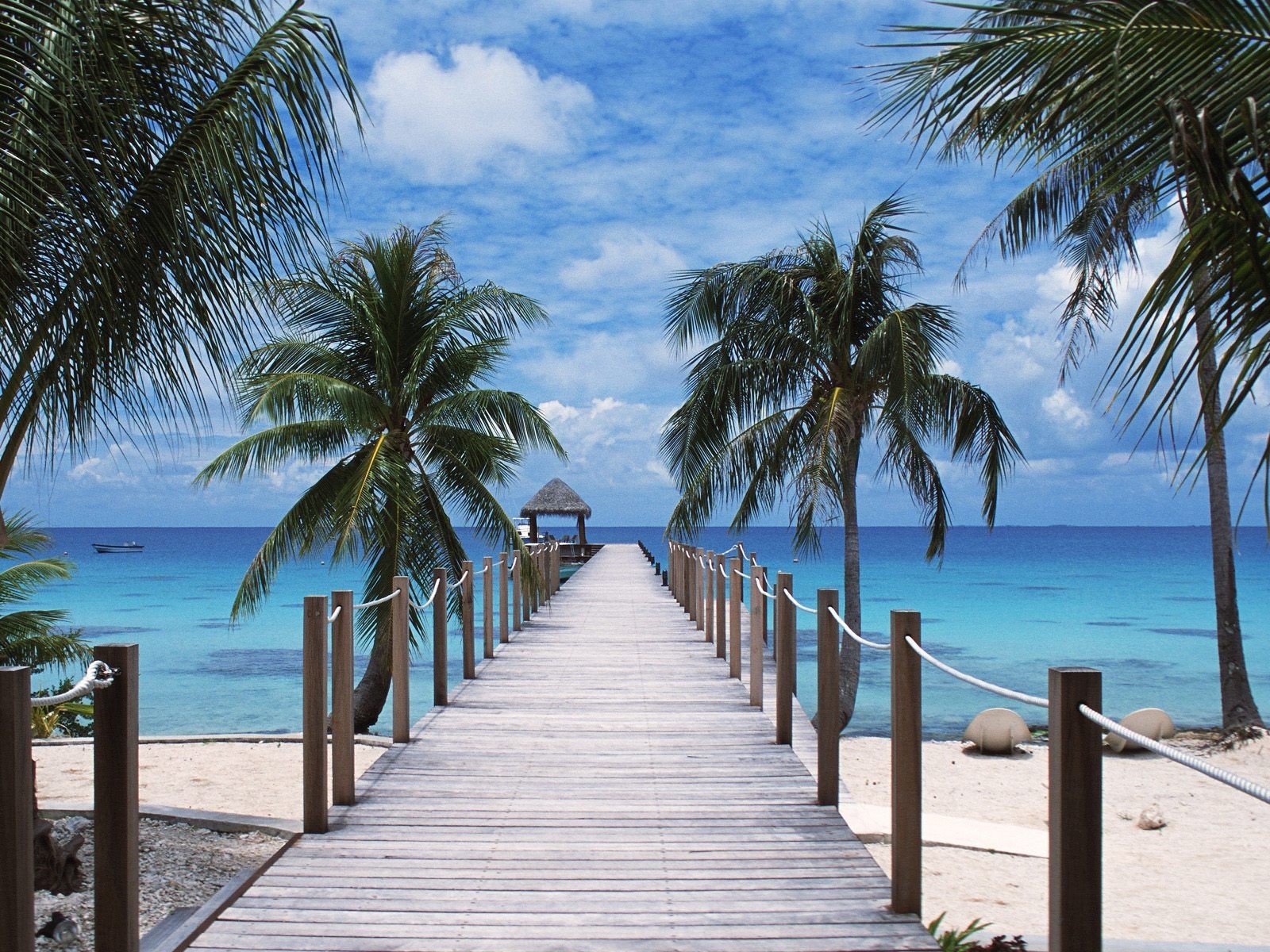 polynesia tuamotu beach