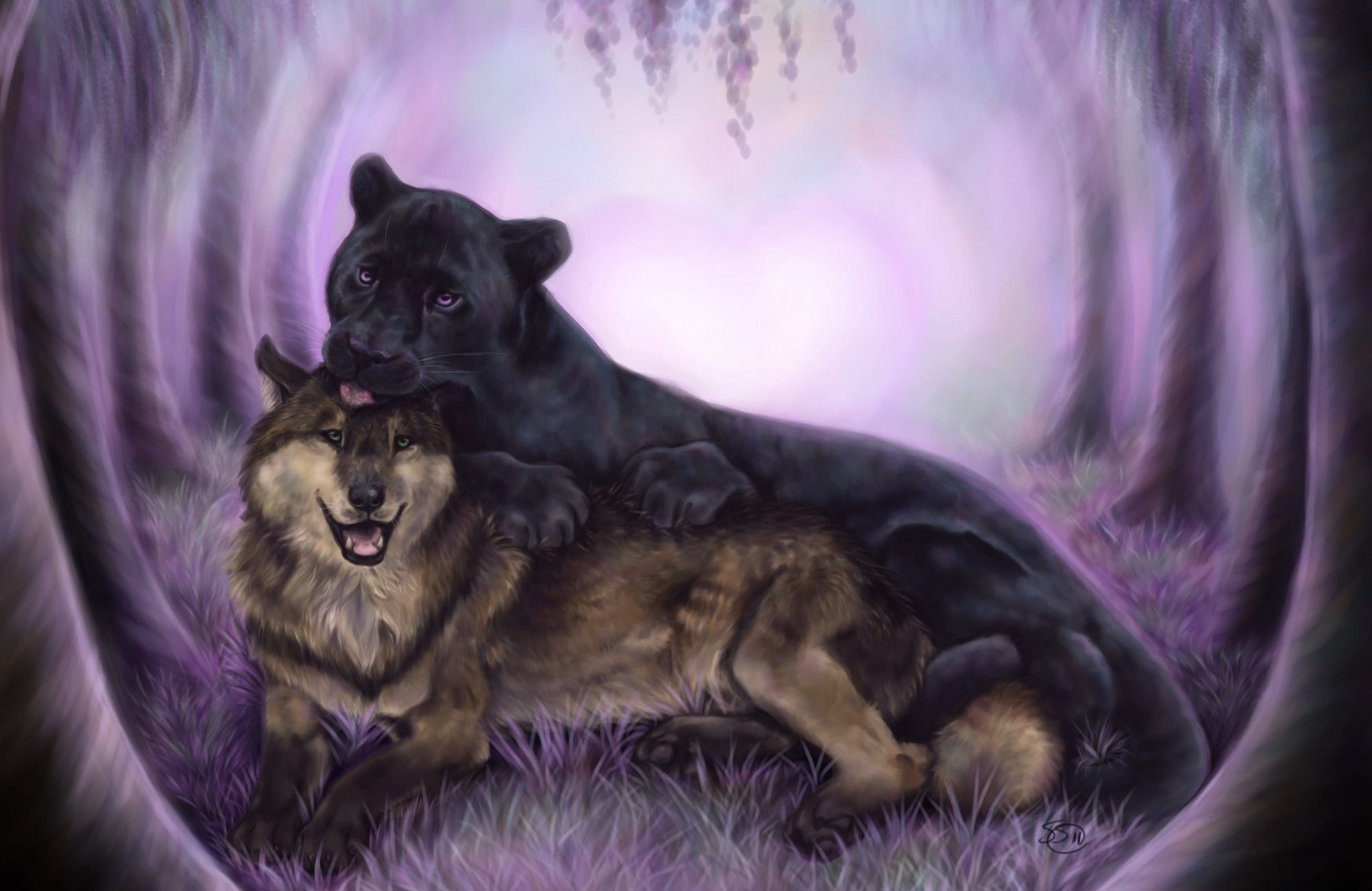 wolf art black animals panther