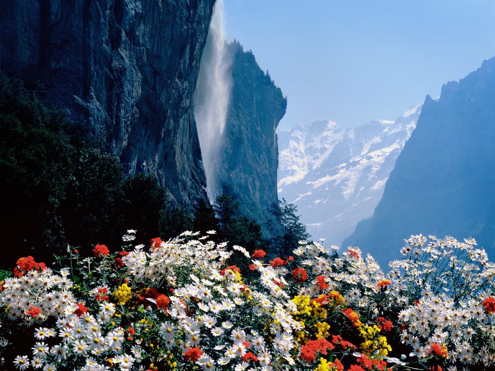 schweiz wasserfall blumen