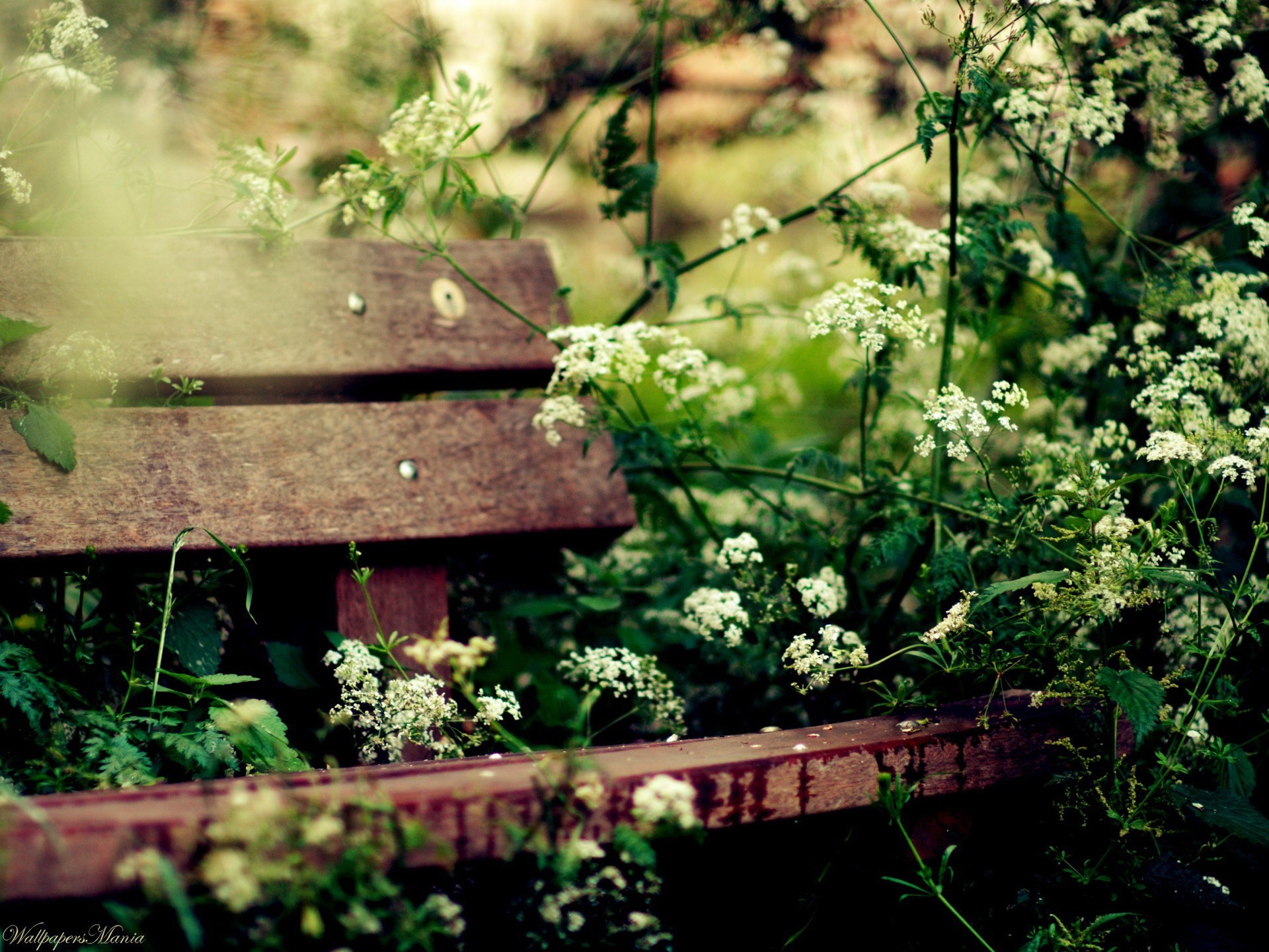 banc verdure confort