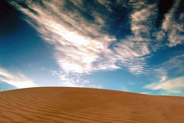 Paisaje con desierto y arena en un día soleado