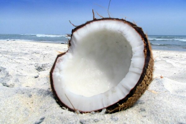 A broken coconut on the white sand near the sea