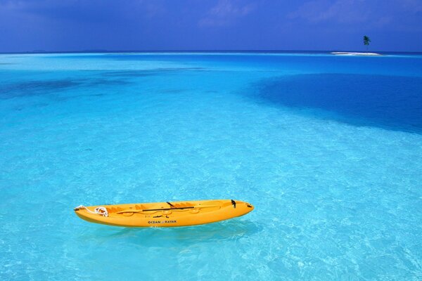 Azure water with a boat and a palm tree in the distance