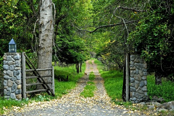 Camino con puerta al bosque