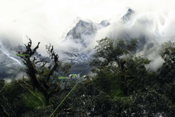 Alberi sullo sfondo di montagne innevate