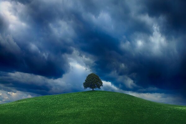 A tree on a green hill against a cloudy sky