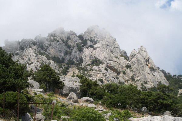 Big mountains in the fog