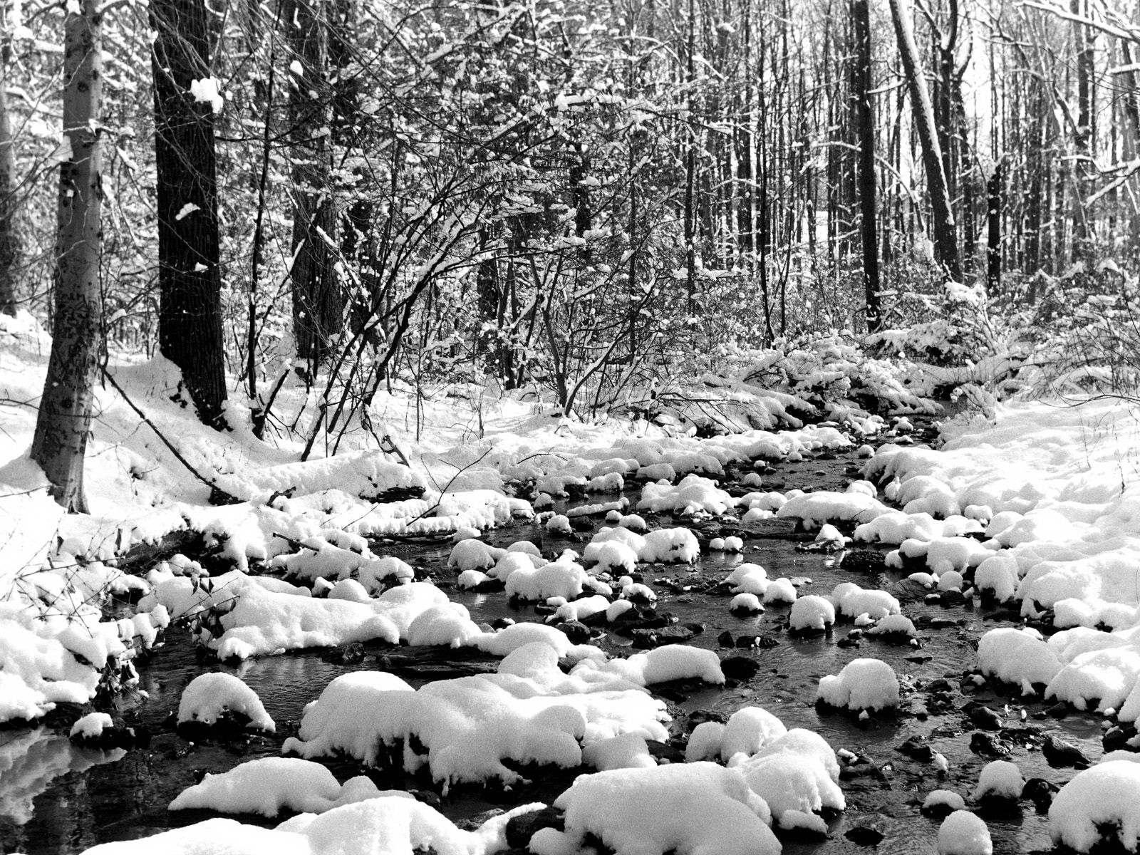 inverno neve ruscello