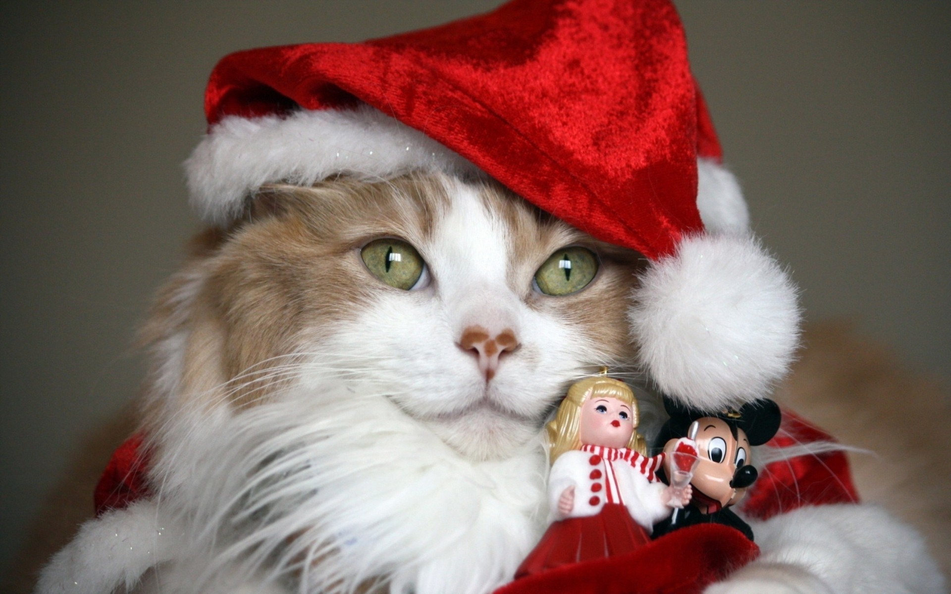 holiday toys cat