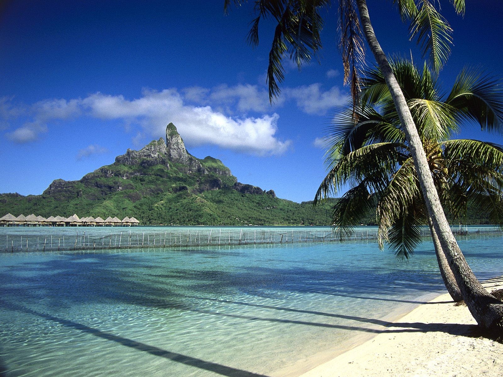 bora bora polynésie française