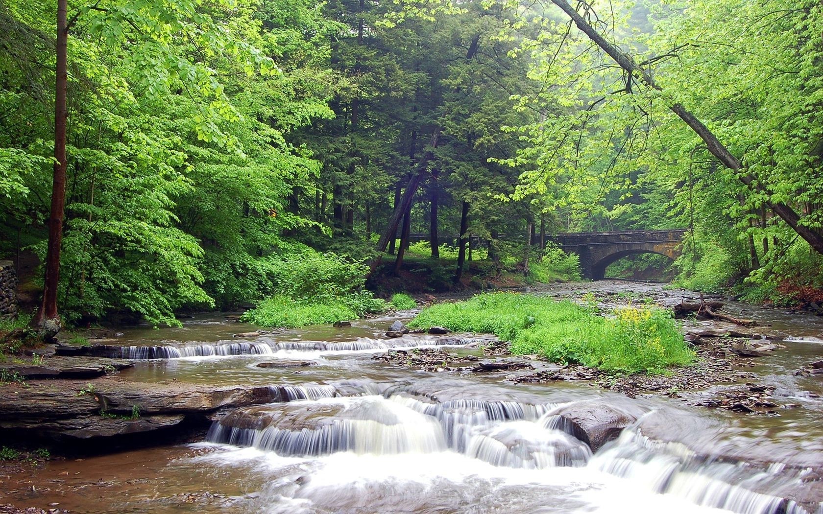 forest river bridge