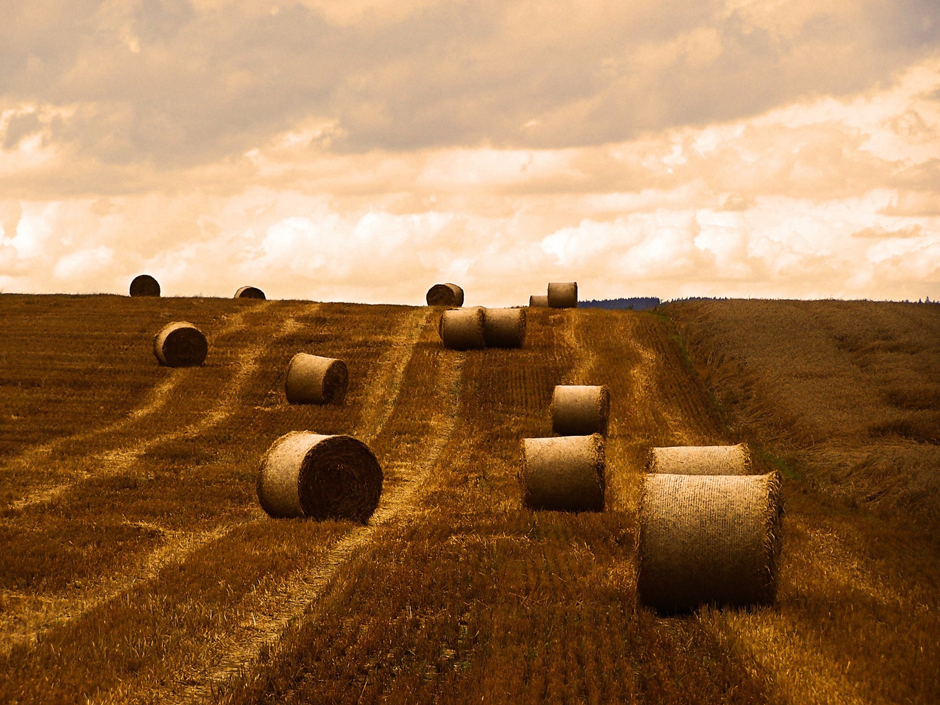 campo limpieza otoño