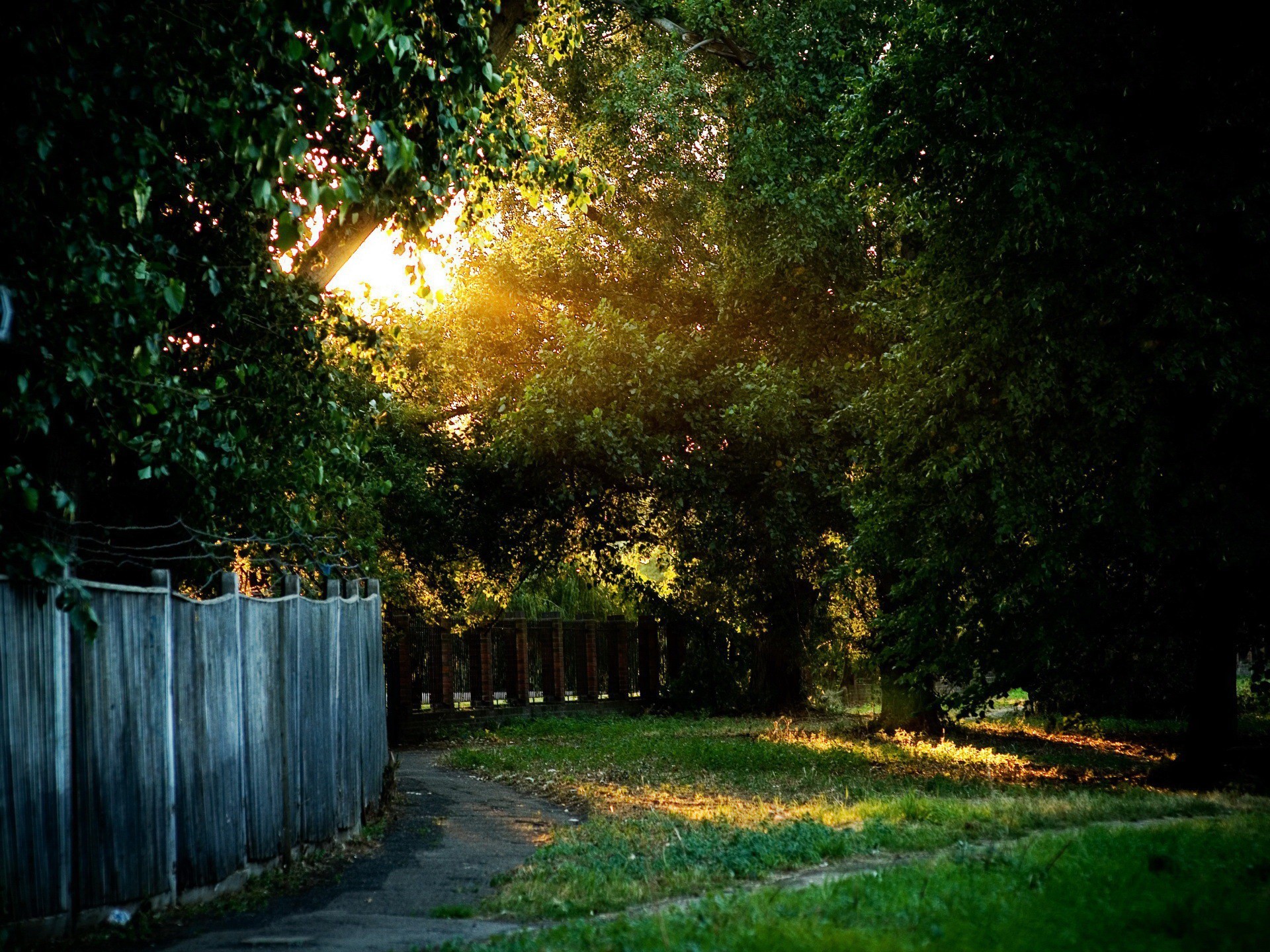 devereaux grass light sun fence