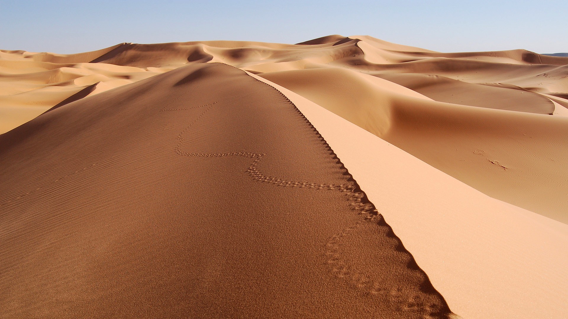 deserto sabbia impronte