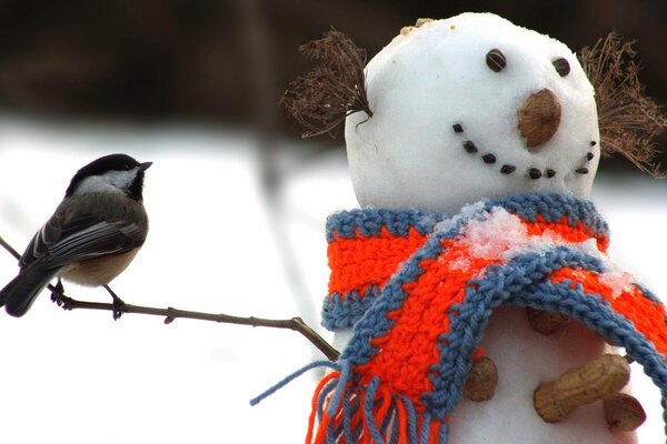 Tit visita a un muñeco de nieve en una bufanda