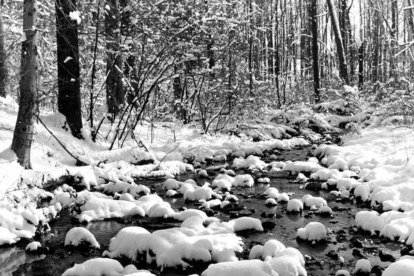 Ein schneebedeckter Bach im Winter