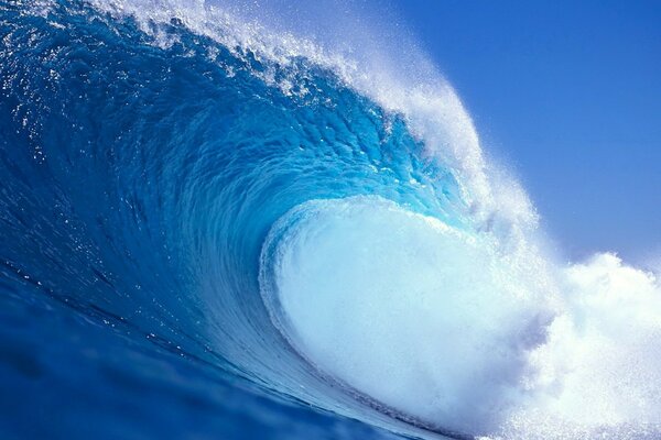 Gran ola para la alegría de los surfistas