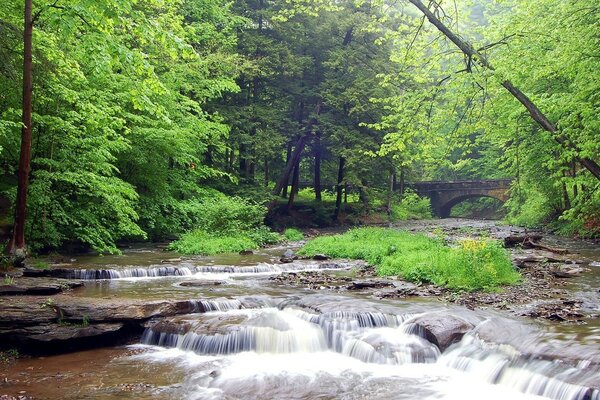 Ein stürmischer Waldbach, in der Ferne eine alte Steinbrücke