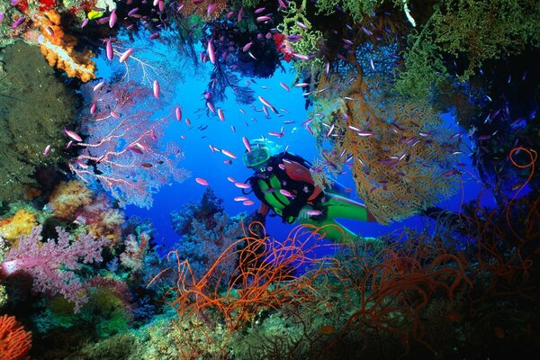 A diver in a coral cave in Fiji