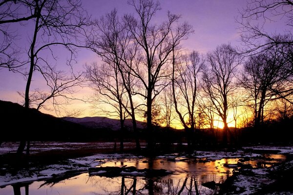 Winter snow stream trees