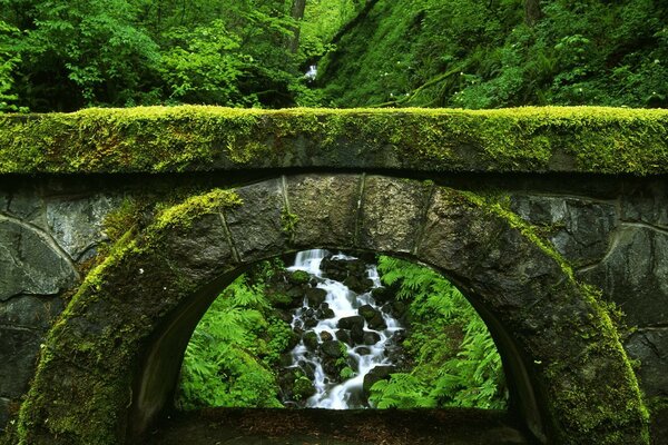 The green color of nature and all its shades