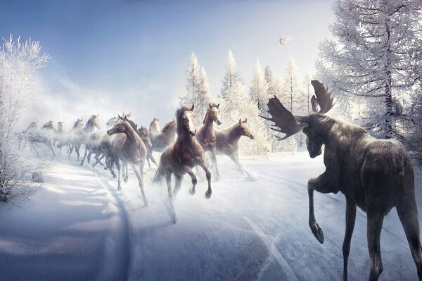 Caballos fabulosos galopan en un camino nevado