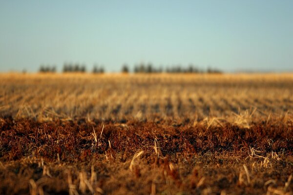 Im Herbst ein gepflügtes Feld der Erde