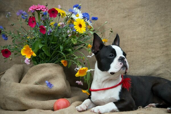 Perro formidable con flores lindas