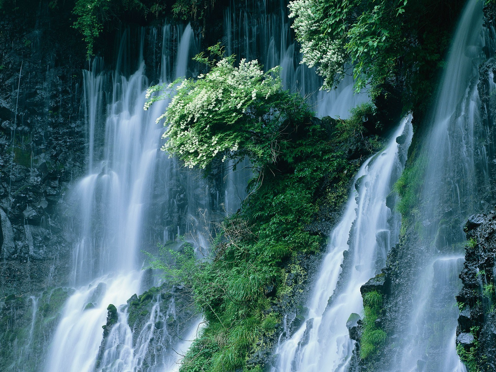 japan wasserfall büsche