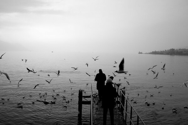 Foto en blanco y negro de un muelle con gaviotas